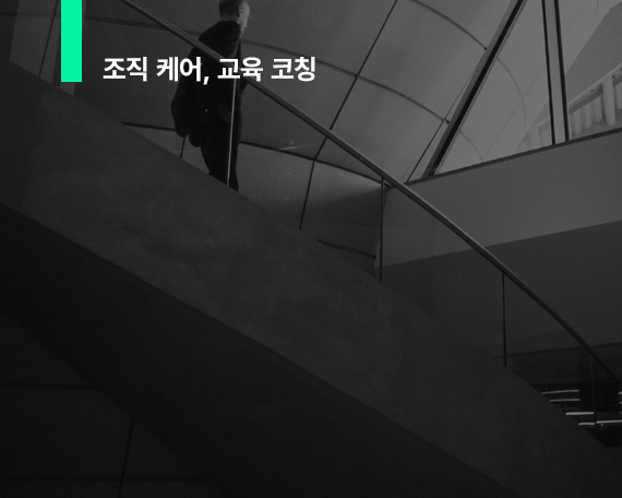ⓒ 조직 케어, 교육 코칭